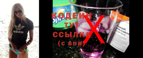 молекула духа Арсеньев