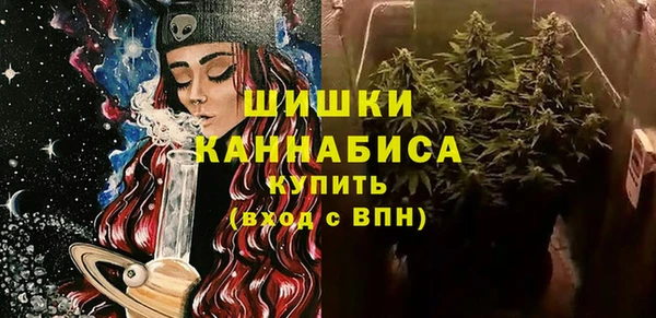 молекула духа Арсеньев