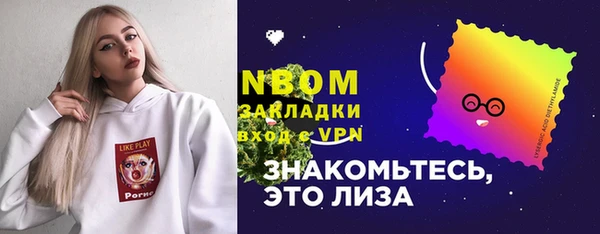 молекула духа Арсеньев