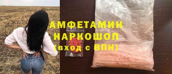 молекула духа Арсеньев