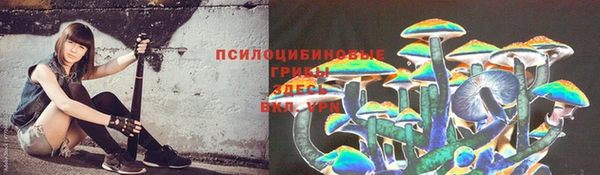 jwh Армянск